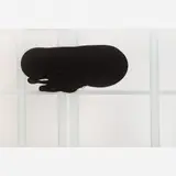 Luiz Carlos Carvalhosa, Tente novamente