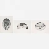 Tracey Moffatt, Laudanum