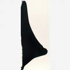 Untitled by Anna Maria Maiolino, Acrílica sobre tela, offered Dec 2011