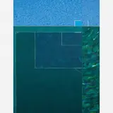 Cildo Meireles, "Campos de jogo" VI