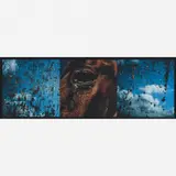 Miguel Rio Branco, Horse-Mirror
