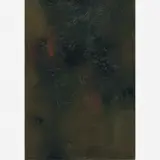 Loio-Pérsio, Composição, Óleo sobre tela