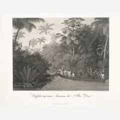 Rio Doce by Álbum Príncipe Maximiliano, Litografia, offered Dec 2010