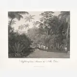 Rio Doce by Álbum Príncipe Maximiliano, Litografia, offered Dec 2010