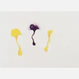Ernesto Neto, 1999