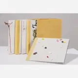 Adriana Varejão, As Poténcias do Orgânico, 1995