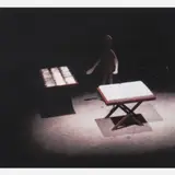 Cildo Meireles, Camelo, 1998