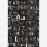 Edifício Prestes Maia by Julio Bittencourt, C-PRINT, offered May 2009