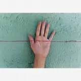 Adriana Varejão, Contingente, 2003
