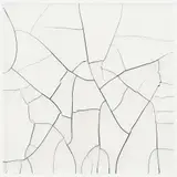 Adriana Varejão, Sem Titulo