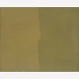 Aluísio Carvão, Cromática 4