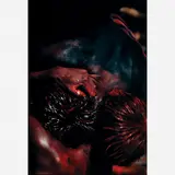 Maureen Bisilliat, Xingu, Cibachrome