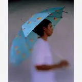 Claudio Edinger, Mulher com guarda chuva