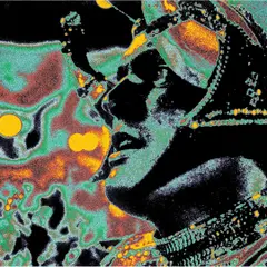 O super-homem daquele instante by Arthur Omar, C-PRINT, offered Sep 2008