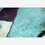 Adriana Varejão, A piscina