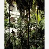 Caio Reisewitz, Santuário San Pedro Claver, Fotografia