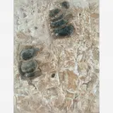 Frans Krajcberg, Relevo, Pigmentos naturais sobre tela