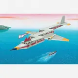 Avião Raio by Roberto Magalhães, Óleo sobre tela, offered Aug 2008