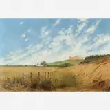 Antônio Parreiras, Campo do Ipiranga - SP, Óleo sobre tela