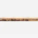 Friedrich Hagedorn, Panorama da cidade de Recife, Litografia