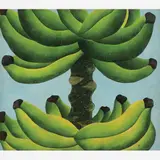 Antonio Henrique Amaral, Cacho de bananas