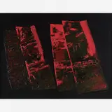Wakabayashi, Sem título, Óleo sobre tela