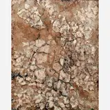 Frans Krajcberg, Sem título, Pigmentos naturais sobre placa de madeira