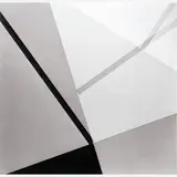 Geraldo de Barros, Fotoforma