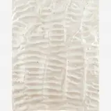 Frans Krajcberg, Sem título, Grafite sobre papel vegetal, Gravura impressa em papel japonês