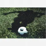 Regina Silveira, Bola no pé