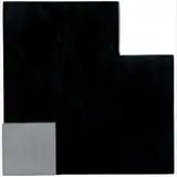 Lygia Pape, Livro noite e dia