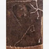 Thomaz Ianelli, Incisões sobre Marrom