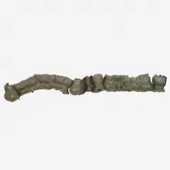 Untitled by Tunga, Escultura em cobre, offered Apr 2006