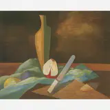 Tomás Santa Rosa, Natureza - Morta
