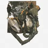 Nuno Ramos, Untitled