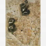 Frans Krajcberg, Relevo, Pigmentos naturais sobre tela