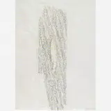 Frans Krajcberg, Relevo, Gravura em papel japonês moldado