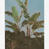 Paulo Gagarin, Bananeira, Óleo sobre tela