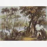 Johann Moritz Rugendas, Pont de Lianne, Litografia aquarelada