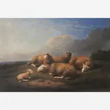 Franz van Severdonck, Ovelhas, ÓLEO SOBRE MADEIRA