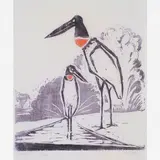 Oswaldo Goeldi, Jabiru, XILOGRAVURA