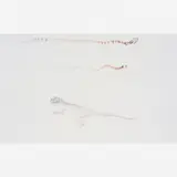 Camaleão e duas Cobras by Jean-Baptiste Debret, Aquarela, offered Jul 2004