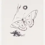 Tomás Santa Rosa, Borboleta