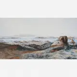 Adolphe Hastrel de Rivedoux, Rio de Janeiro, Dessiné du sommet du Corcovado, Litografia Original realçada com aquarela