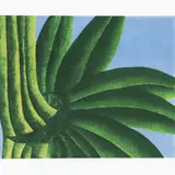 Antonio Henrique Amaral, BANANAS