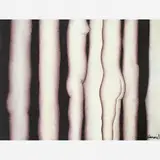 Antonio Henrique Amaral, Torsos II
