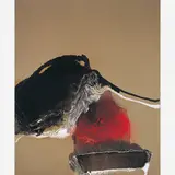 Composição by Manabu Mabe, ÓLEO SOBRE TELA, offered Apr 2003