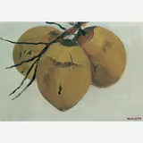 José Pancetti, Cocos