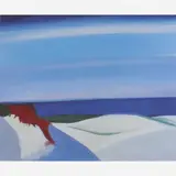 Mario Zanini, Dunas