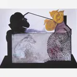 Artur Barrio, A Casa Negra